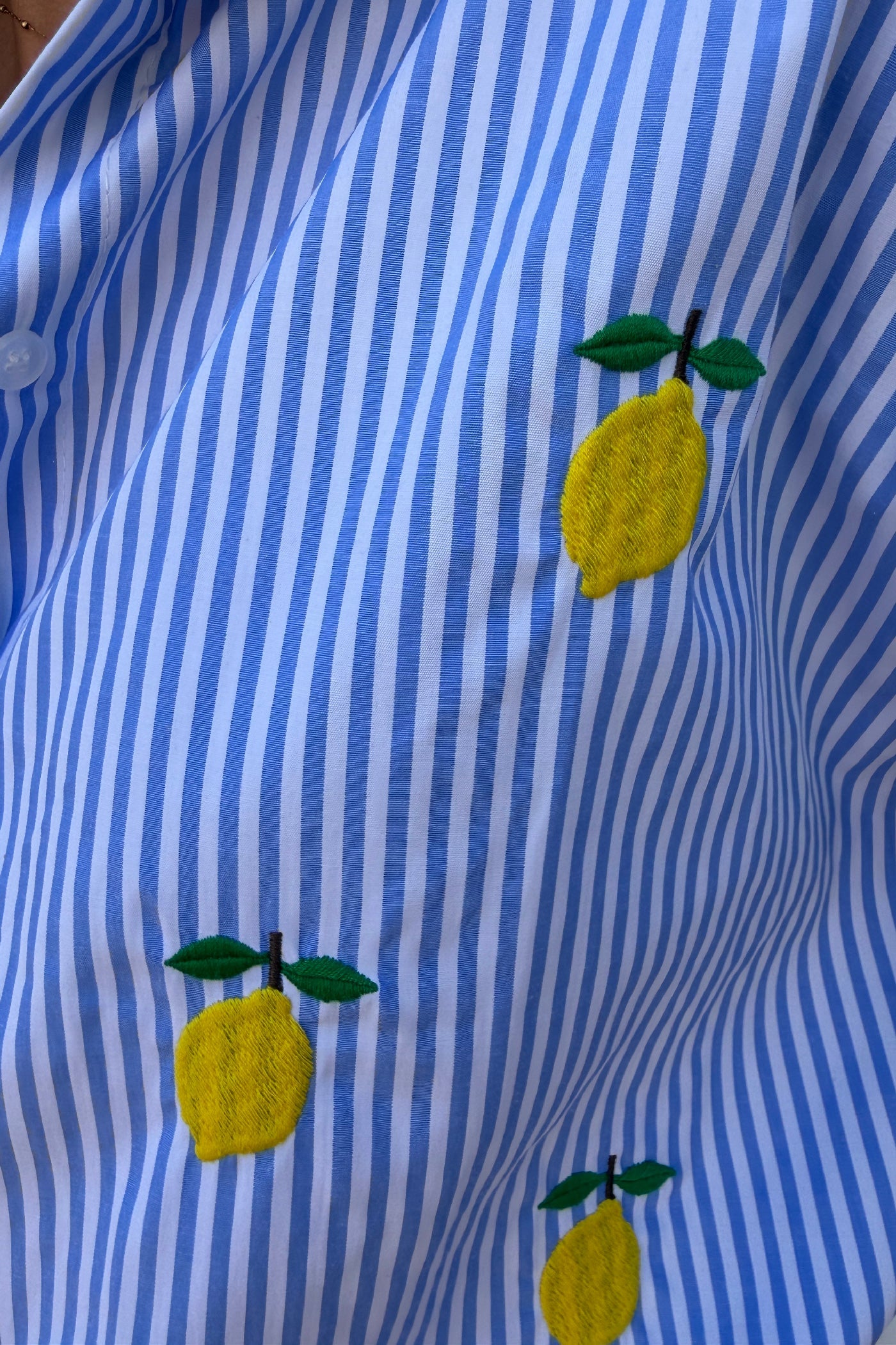 Camisa Rayas Azul Bordado Limones
